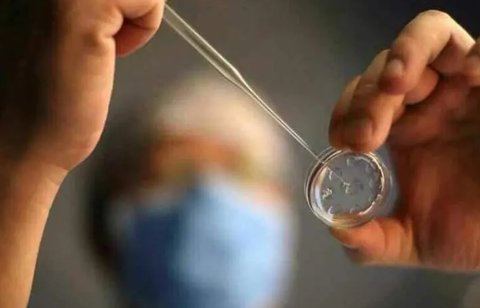 呼和浩特试管试管代怀成功（呼和浩特试管代生宝宝费用明细）